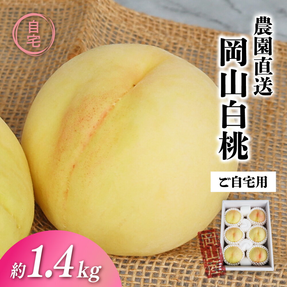 【ふるさと納税】 岡山白桃 ご自宅用 約1.4kg お試しサイズ 【2026年先行予約】 【配送不可地域：北海道／沖縄県／離島】 人気 フルーツ 果物 先行予約 桃 もも モモ 数量限定 送料無料 産地直送 期間限定 白桃 くだもの 贈答 お中元 お歳暮 ギフト プレゼント momo51