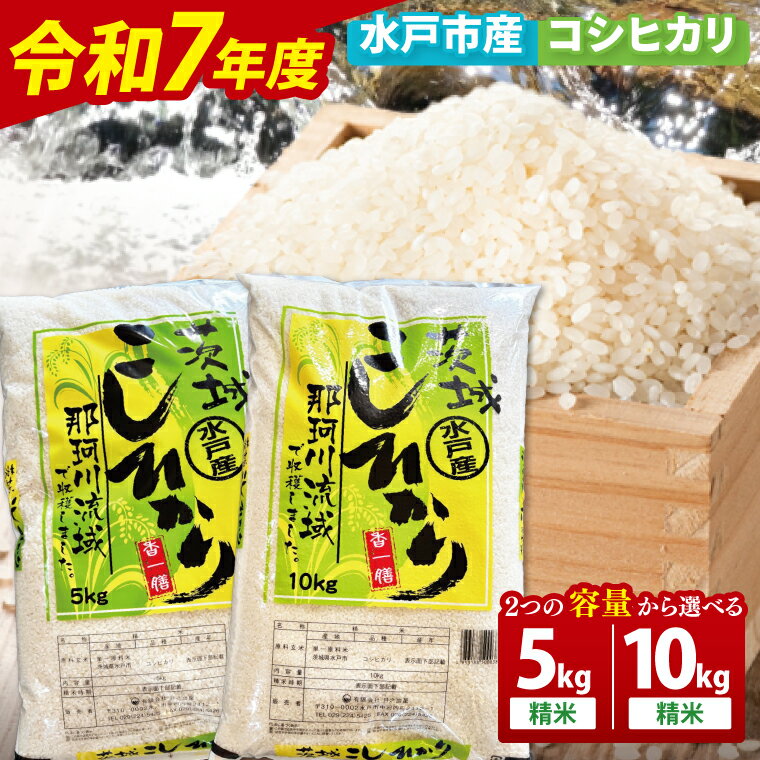 【ふるさと納税】【10月中旬より順次発送】【数量限定】【令和7年産新米】水戸産コシヒカリ　選べる　5kg|10kg 精米【お米 ごはん コシヒカリ おにぎり ごはん 茨城県 水戸市】(NP-1)