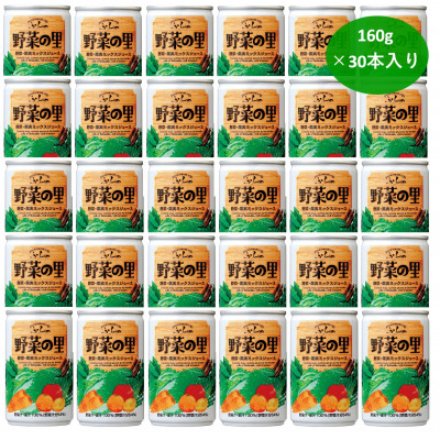 
                  ＜国産野菜使用＞ふらの　野菜の里　160g×30本入り_ 野菜ジュース ジュース 飲料 ドリンク 野菜 国産 産直 北海道 野菜の里 缶 贈答 ギフト 詰合せ 30本 人気 おすすめ 国産野菜 安心 果汁ミックス ミックスジュース 飲みやすい 缶ジュース 【1397498】
                