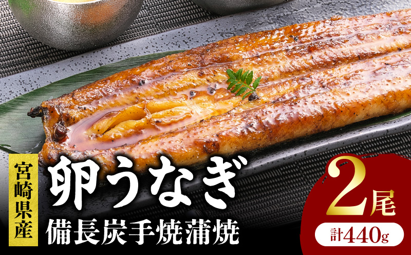「卵うなぎ」備長炭手焼蒲焼 2尾(計440g) うなぎ 蒲焼 国産