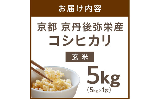【先行予約】丹後弥栄産コシヒカリ（玄米5kg）コシヒカリ 玄米 おこめ おにぎり 京都産 お米 ふるさと納税 こしひかり
