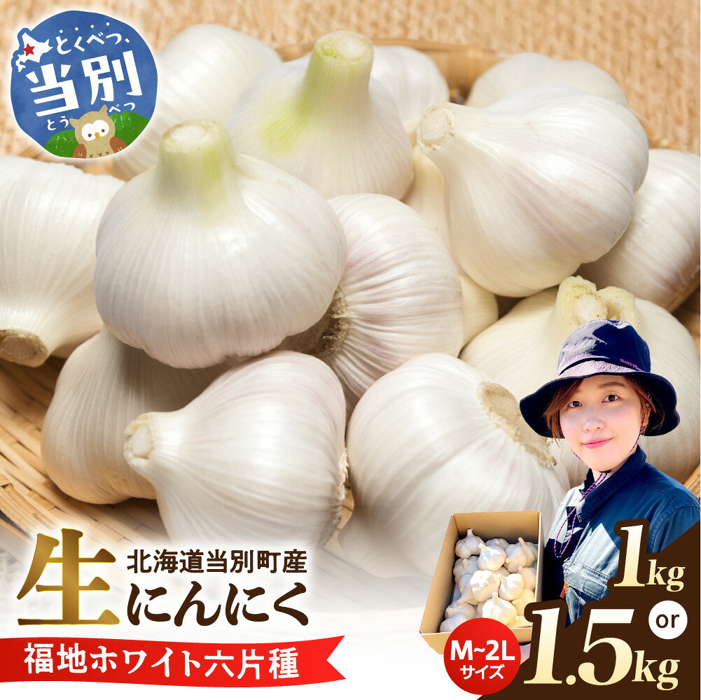 【ふるさと納税】【令和9年度先行受付】生にんにく（福地ホワイト六片種）【選べる容量】1kg 1.5kg にんにく 福地ホワイト 1000g 1500g 北海道産 国産 スパイス ガーリック お肉 肉 アヒージョ 便利 普段使い 万能 調味料 焼肉 BBQ 北海道 当別町