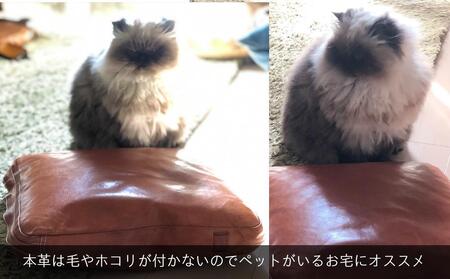 【革工房Japlish】スクエア型クッションカバー【キャメル】ほこり・毛が付かず衛生的＜福岡市の本革製品＞