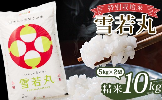 令和7年産 特別栽培米 雪若丸 (精米) 10kg (5kg×2袋) 山形県南陽市産 米 白米 ご飯 農家直送 山形県 南陽市 [1093-A]