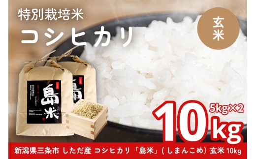 先行予約 玄米 新潟県特別栽培米 コシヒカリ10kg 玄米「島米(しまんこめ)」新潟県産 コシヒカリ 玄米 三条市 下田 令和8年産玄米 コシヒカリ 玄米 [農事組合法人島川原]【030S101】