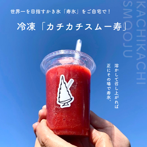 寿氷 スタンダード フルーツ 6種類 