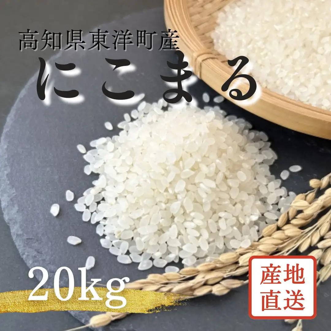 S249-3 ＜2026年10月発送＞令和8年産にこまる ＜20kg＞国産 米 お米 高知県産
