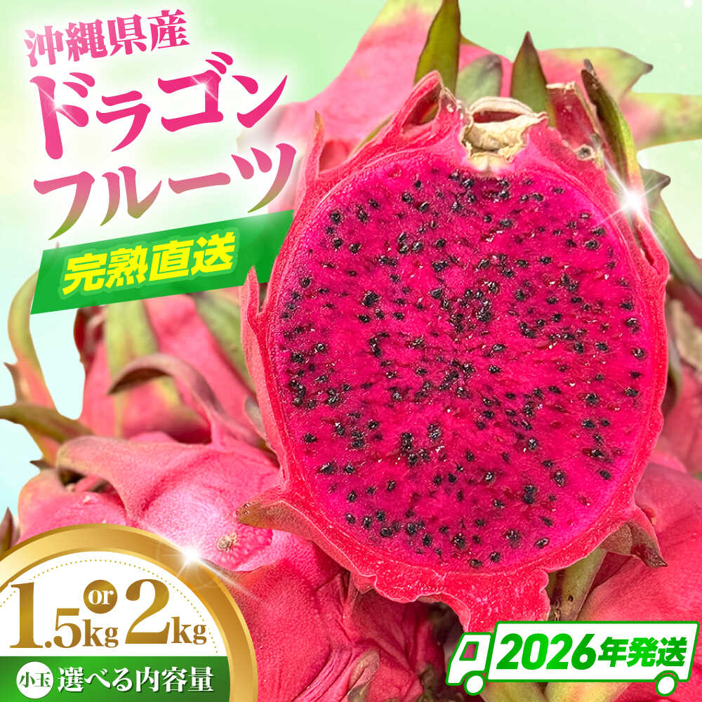 【ふるさと納税】【2026年発送】 【小玉】 完熟ドラゴンフルーツ 1.5kg or 2kg 果物 フルーツ スーパーフード 産地直送 沖縄市 / タカエスフルーツ＆ベジタブル[BCBH005]