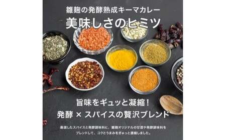 発酵熟成キーマカレー 3食 カレー 冷凍