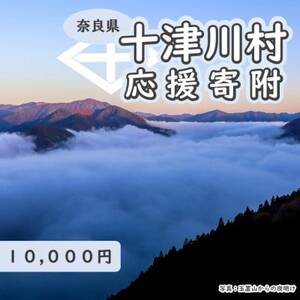 【返礼品なし】十津川村応援寄付　10,000円
