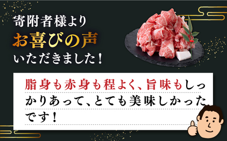 【全2回定期便】特選 壱岐牛 切り落とし 500g (牛丼/肉じゃが/炒め物) [JDD036]