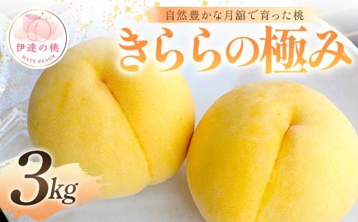 自然豊かな月舘で育った桃 きららの極み3kg（8～12玉） 桃 もも モモ 果物 くだもの フルーツ 名産品 国産 食品 F21C-059
