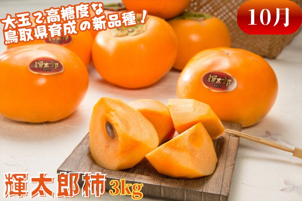 大玉の新品種“輝太郎(きたろう)柿”