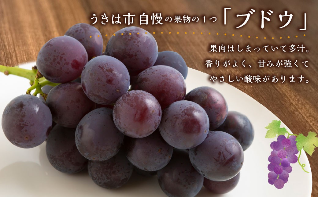 巨峰 5～6房 （約2kg）