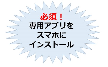 ひらつか☆スターライトマーレ（ふるさと納税返礼ポイント）9000pt付与 神奈川県 平塚市