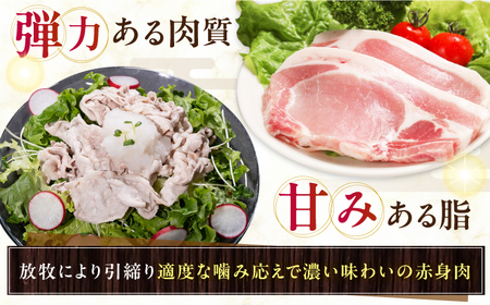 【全3回定期便】【科学調味料不使用】 放牧豚 モモチャーシュー 3個（225g/個）味付き 豚 豚肉 ハム 焼き豚 おつまみ モモ モモ肉 冷凍配送 北海道 [AXBA039]