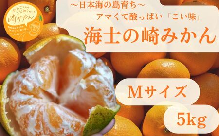 【期間限定】崎地区の崎みかん Mサイズ 5kg 約50個 期間限定 11月下旬より発送開始