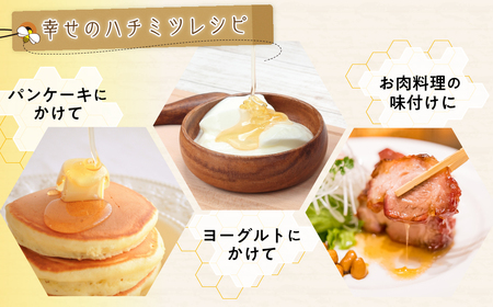 はちみつ 幸せの黄金ハチミツ 200g×3個 箱入り はちみつ