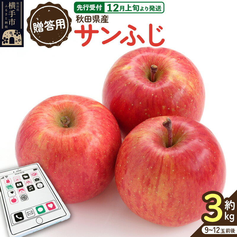 【ふるさと納税】【先行受付】12月上旬より発送【贈答用】秋田県産 サンふじりんご 約3kg(9玉〜12玉前後)