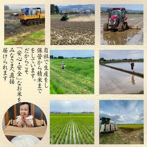 令和7年度産　上越市産つきあかり　5kg×6回定期便　新米　精米　新潟　米　新潟県　つきあかり　限定　定期便　おすすめ