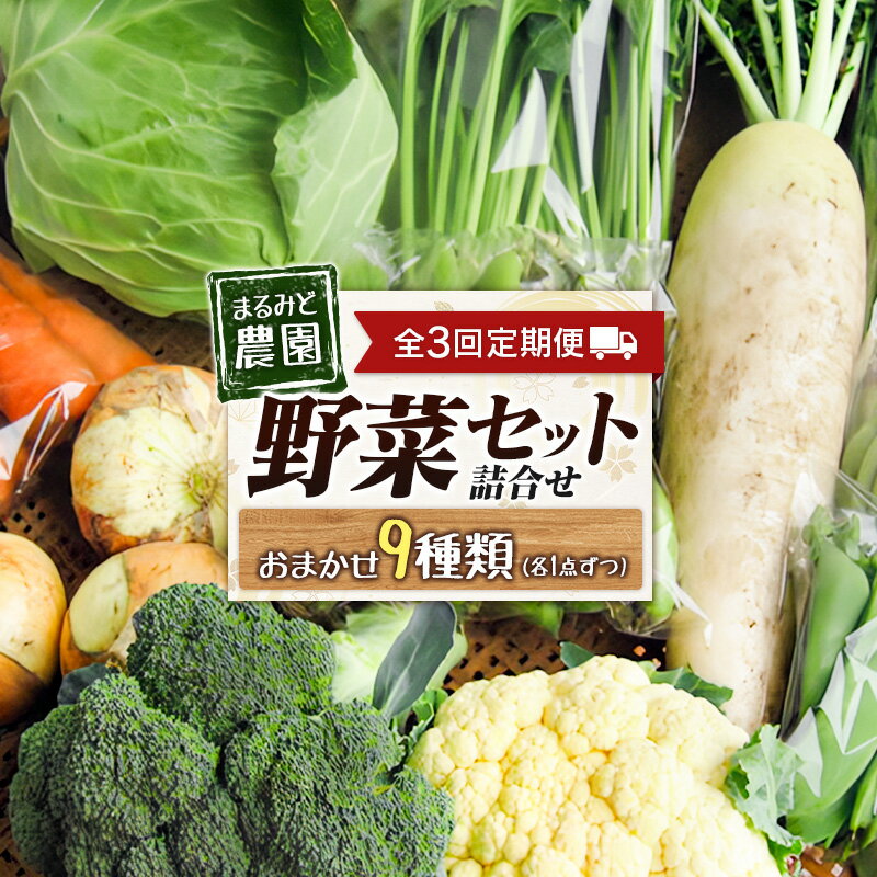 【ふるさと納税】『定期便』全3回 野菜セット 詰め合わせ まるみど農園の季節のお野菜便 毎月 9種類 旬 農家直送 国産 送料無料