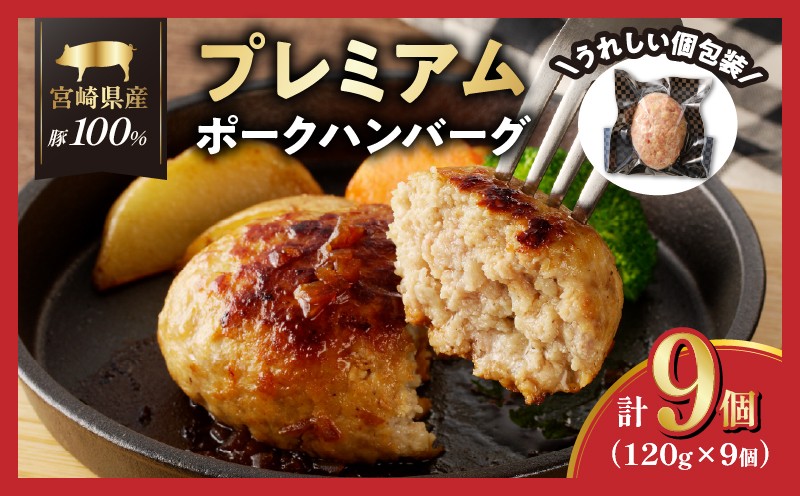 
                  ≪都農夏大祭!!≫宮崎県産豚プレミアムハンバーグ(計9個) 肉 豚肉 加工品 惣菜 国産_T001-0095-ZO
                