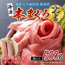 【ふるさと納税】【刺身用】本マグロ 大トロ 500g（柵どり）【最新の冷凍技術】/ 国産 グルメ マグロ [C-11007]