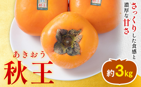 柿 秋王 約3kg（8-12玉） 南国フルーツ株式会社 《10月中旬-11月末頃出荷》福岡県 小竹町 福岡県産 柿 フルーツ 果物