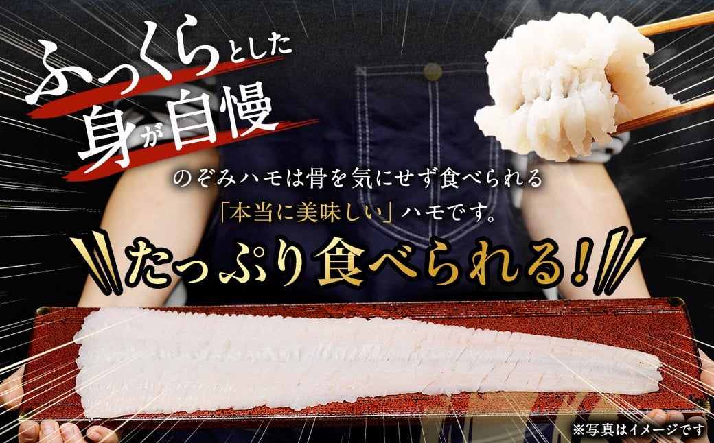 のぞみ水産 潮氷締め（野〆） 骨切り ピンク生鱧 約500g 寒ハモ