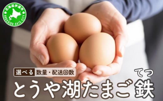 
            北海道 伊達市 とうや 卵（鉄）【選べる数量・お届け回数】
          