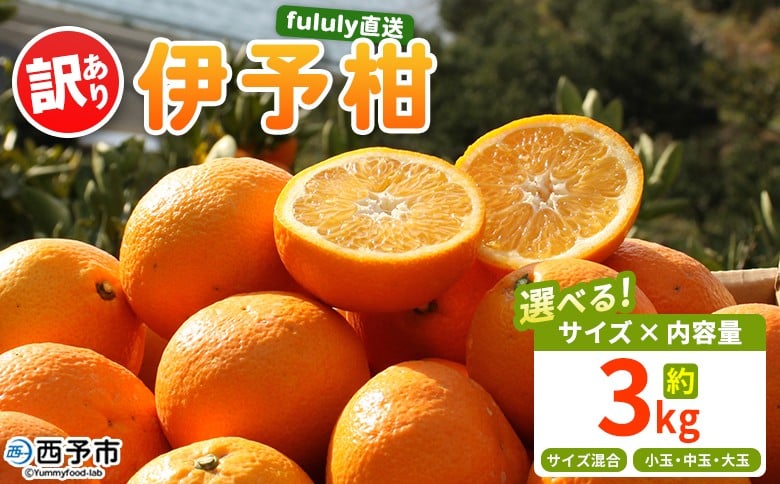 
                  ＜fululy直送 伊予柑 訳あり 約3kg＞ 選べる ワケアリ サイズ混合 小玉 中玉 大玉 果物 フルーツ 蜜柑 いよかん イヨカン 柑橘 家庭用 合同会社fululy 直送 愛媛県 西予市【常温】『2026年1月中旬～2月上旬迄に順次出荷』
                