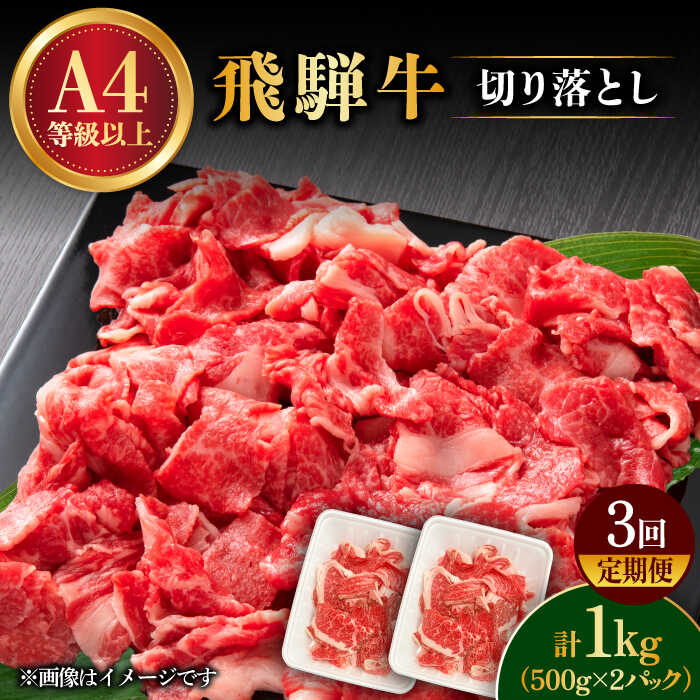 【ふるさと納税】【 3回 定期便 】【 飛騨牛 】 切り落とし 1kg × 3回 ( 計 3kg ) 和牛 ブランド牛 国産 多治見市/肉の丸長 [TAZ015]