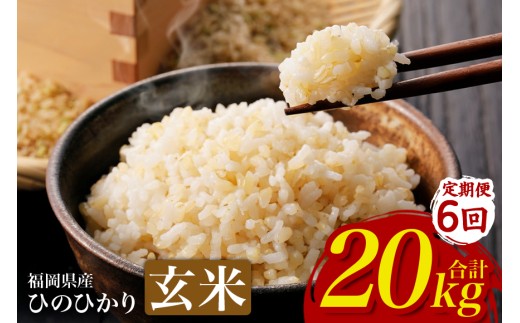 【6回定期便】【ふるさと納税】ひのひかり 米 お米  玄米  20kg 20キロ 福岡県産 うきは市 国産 精米 ご飯 ごはん おにぎり お弁当 人気 おすすめ 家庭用 送料無料 令和7年度産 ストック 厳選 農家直送 大容量【JA福岡くるめ にじの耳納の里】