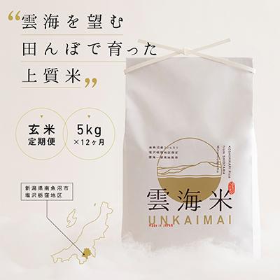 ふるさと納税 南魚沼市 【毎月定期便】南魚沼産コシヒカリ「雲海米」玄米5kg全12回