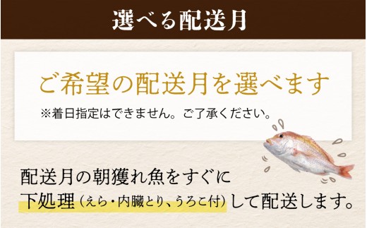 若狭湾鮮魚セット おまかせ 3kg以上（6～8魚種）【2月配送】