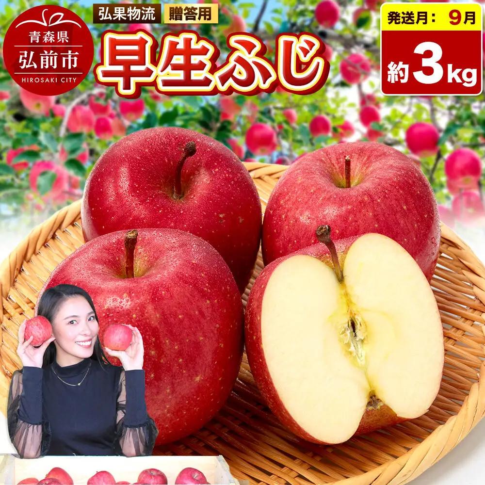 【26年9月発送】りんご 早生ふじ【贈答用】約3kg 青森県 弘前市