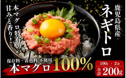 
AS-022　鹿児島県産 本マグロ100% ネギトロ 200g(100g×2) 約4人前【2024年2月より順次出荷】
