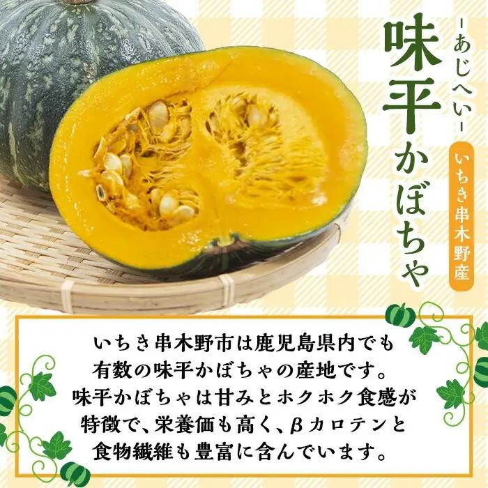 【お中元】味平かぼちゃのアイスクリーム （130g×6個）アイス アイスクリーム かぼちゃ 味平かぼちゃ 冷菓 鹿児島県 いちき串木野 特産品【00-014-08-R8OC】