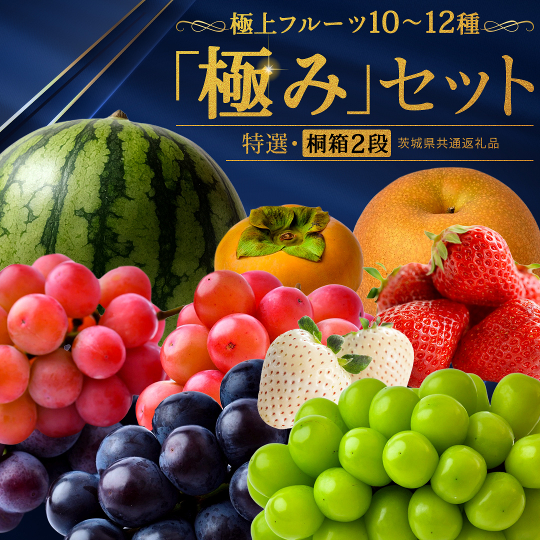 【特選・桐箱2段】極上フルーツ10～12種「極み」セット（茨城県共通返礼品） 田舎の頑固おやじが厳選！ 人気 厳選 果物 くだもの 旬 旬の果物 旬のフルーツ 上級品 極上 贅沢 極み フルーツ フル
