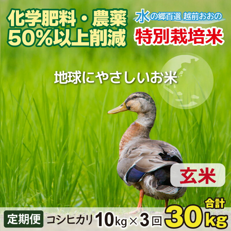 【ふるさと納税】【令和7年産 新米】【3ヶ月定期便】こしひかり 10kg × 3回 計 30kg【玄米】　減農薬・減化学肥料 「特別栽培米」－地球にやさしいお米－【お米・コシヒカリ・玄米】[D-003007]