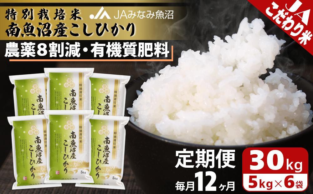 【JAみなみ魚沼定期便】特別栽培米南魚沼産こしひかり8割減（30kg×全12回） ≪精米 農薬8割削減 有機肥料 精米HACCP認定工場 特A獲得日本一産地 高品質精米 もっちり甘い 南魚沼産コシヒカリ 定期便 コシヒカリ こしひかり 銘柄米≫