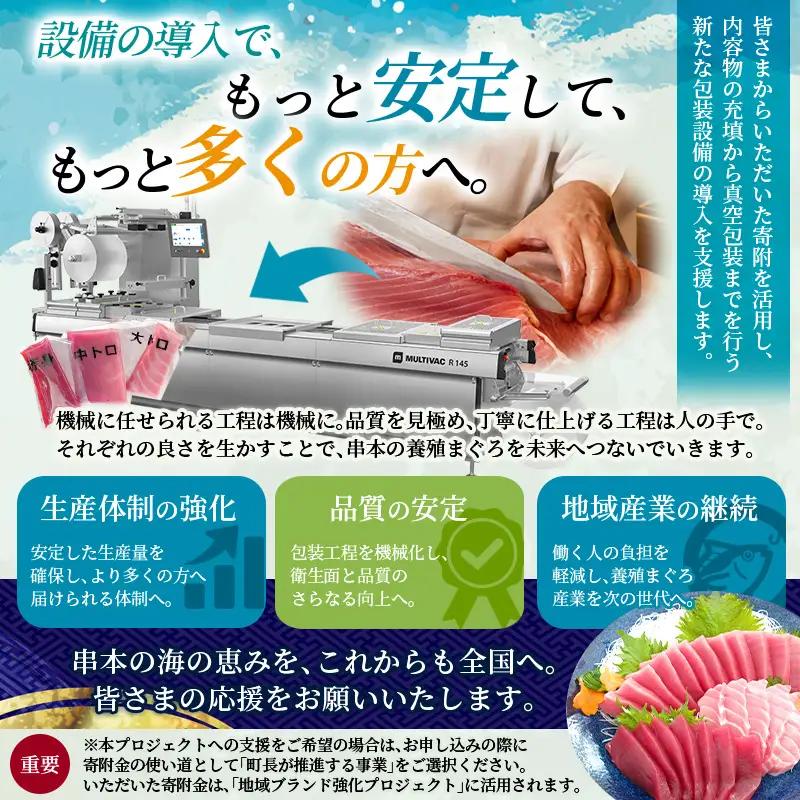 まぐろ 本マグロ 大トロ&中トロ＆赤身セット 500g（養殖)  【配達日指定不可】【nks110D】
