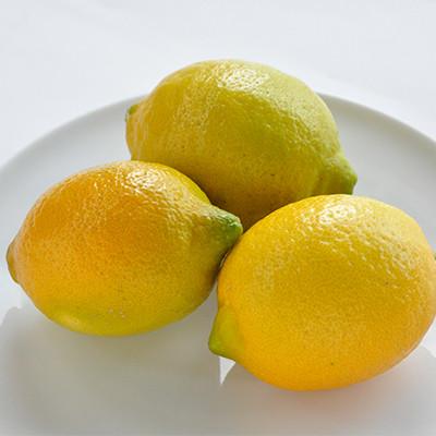 ふるさと納税 今治市 【先行受付】瀬戸内レモン 2.5kg　L〜M　秀品　小箱 |  | 01