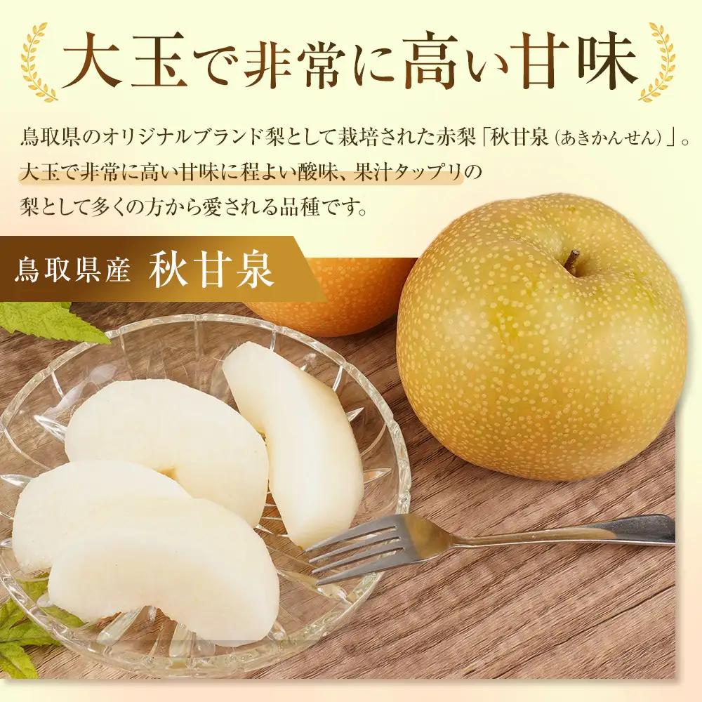 数量限定 鳥取県産梨 秋甘泉（あきかんせん） 5kg（8～12玉）