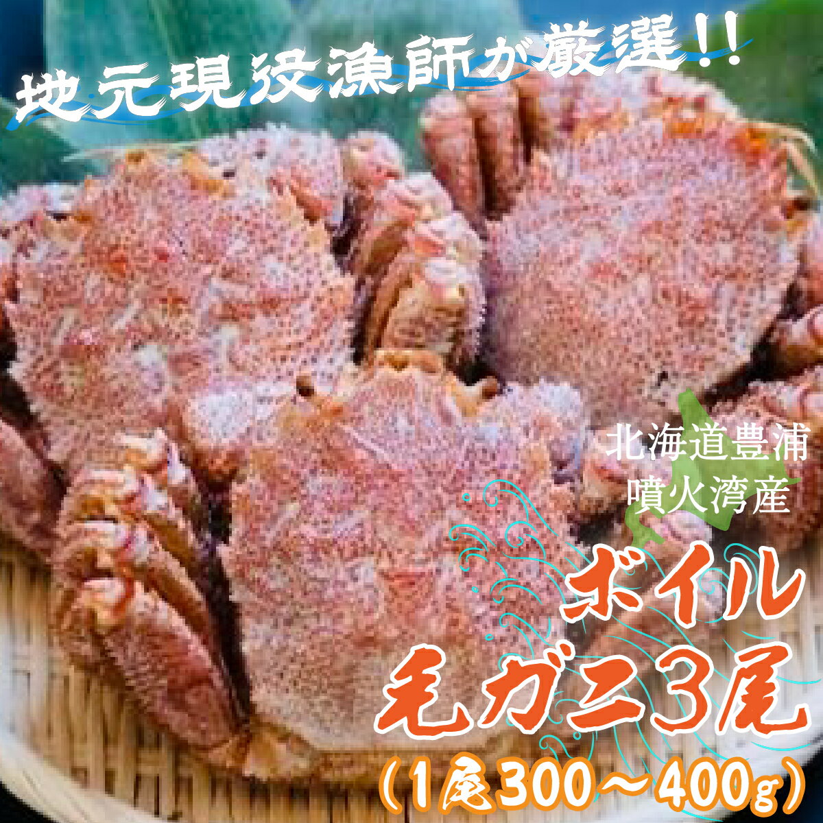 【ふるさと納税】【地元現役漁師が厳選！！】ボイル・毛ガニ3尾（1尾300～400g）北海道 豊浦 噴火湾 【 ふるさと納税 人気 おすすめ ランキング 魚介類 カニ 蟹 かに 毛がに 毛蟹 大容量 お得 おいしい 北海道 豊浦町 送料無料 】 TYUR008