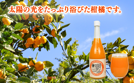 ストレートジュース まろやか 柑橘 の 飲み比べ 720ml × 4本 4種 ヨシファーム 先行予約 みかん ジュース ストレート みかんジュース フルーツジュース 蜜柑 mikan 100％ジュース