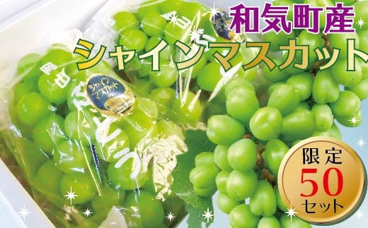 CC-83　シャインマスカットぶどう1.0kg（1～2房）