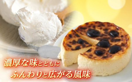 【濃厚】　バスクチーズケーキ　(4号サイズ)1個　【かいせい製菓】開成町 ケーキ チーズ バスクチーズケーキ デザート スイーツ おうちカフェ 冷凍 [BDAJ002]
