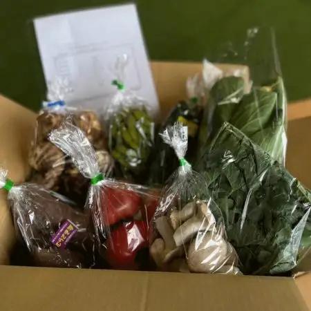 野菜定期便【3ヶ月連続】定期便 旬の野菜詰め合わせ 6～7品以上 ja1