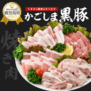  鹿児島黒豚 焼肉用 焼肉 バラエティセット 1kg 岡村商店 IB024-013 黒豚 黒豚 